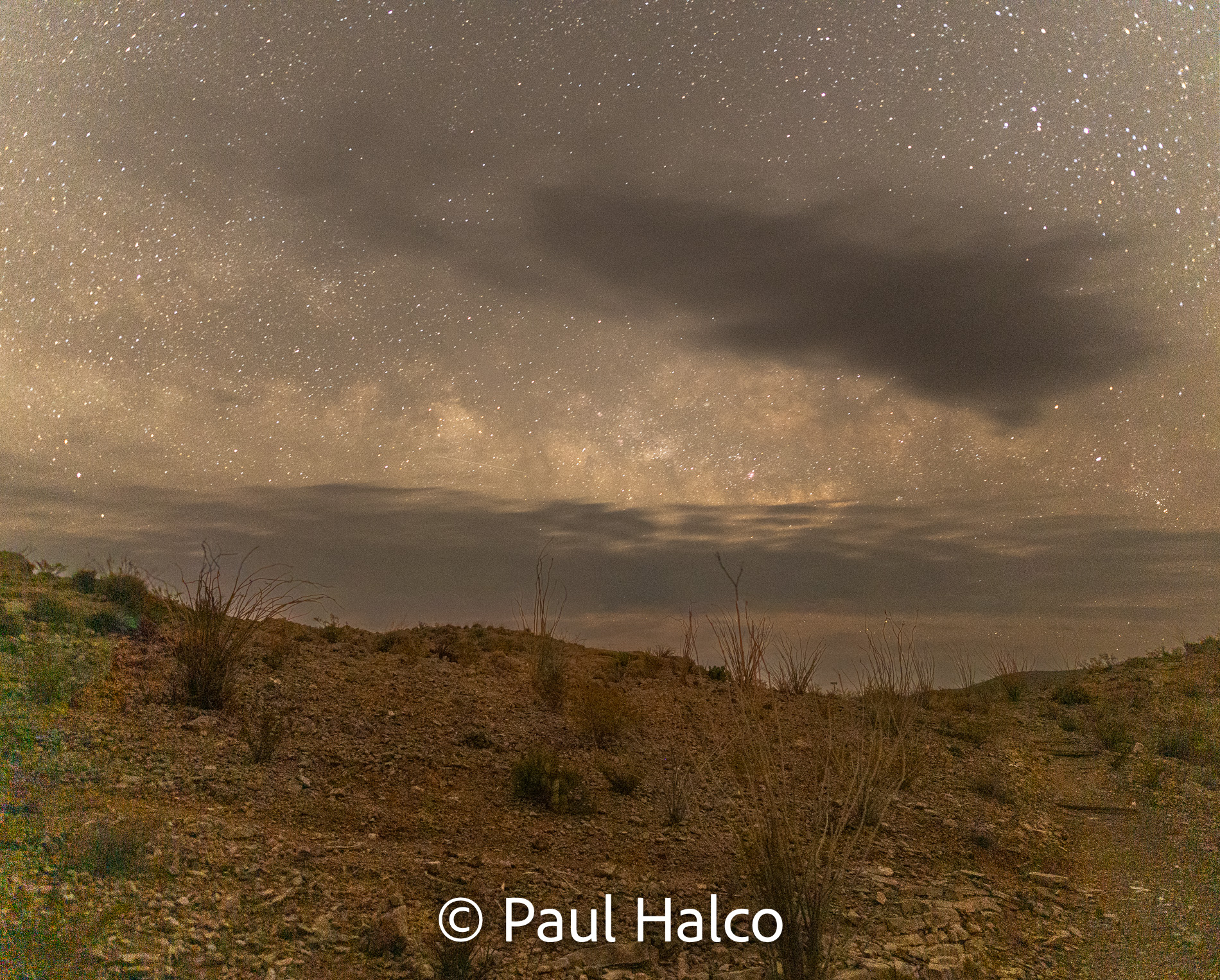 Paul Halco - Big Bend NP-10